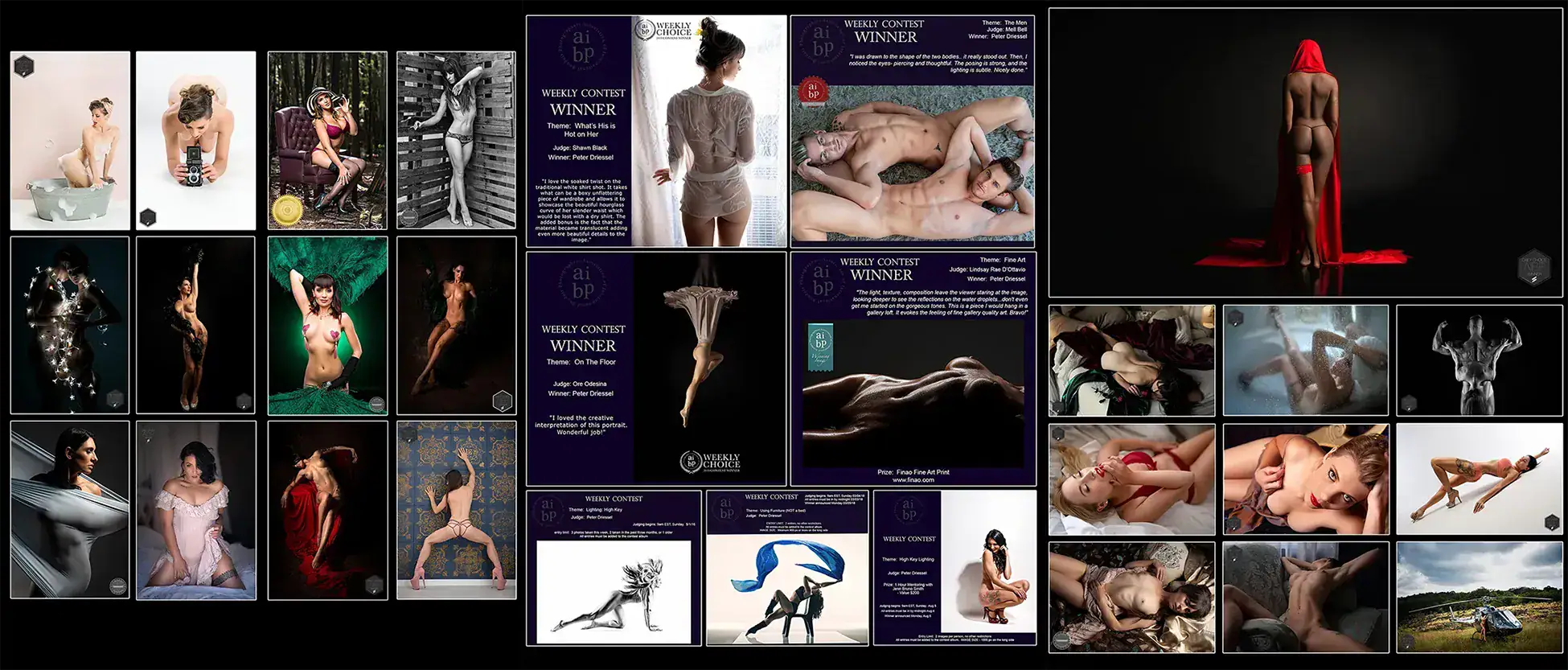 Peter Driessel | AIBP Award Winning Boudoir Photography Selection of Peter Driessel's award winning boudoir and fine art photography recognised by AIBP